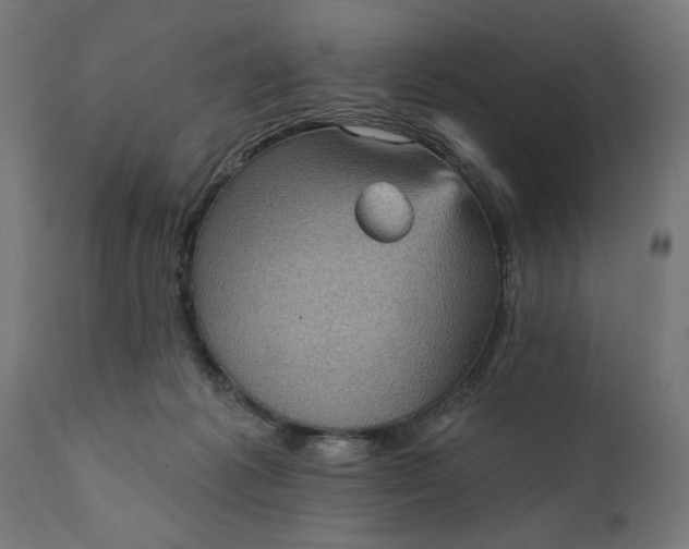X0000111480221200907281211