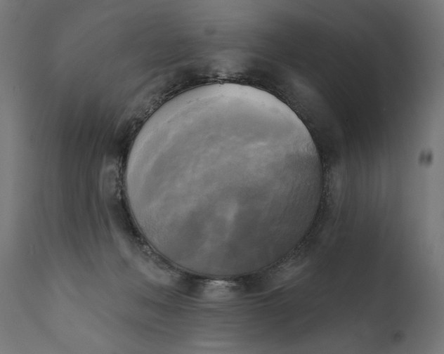X0000111480222200907281211