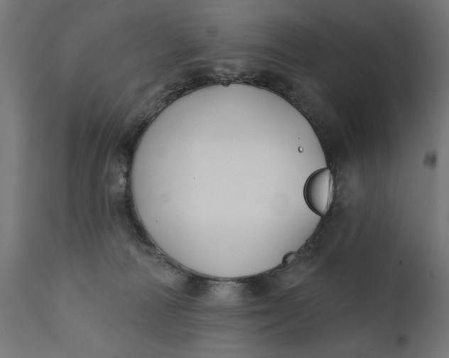 X0000111480226200907281210