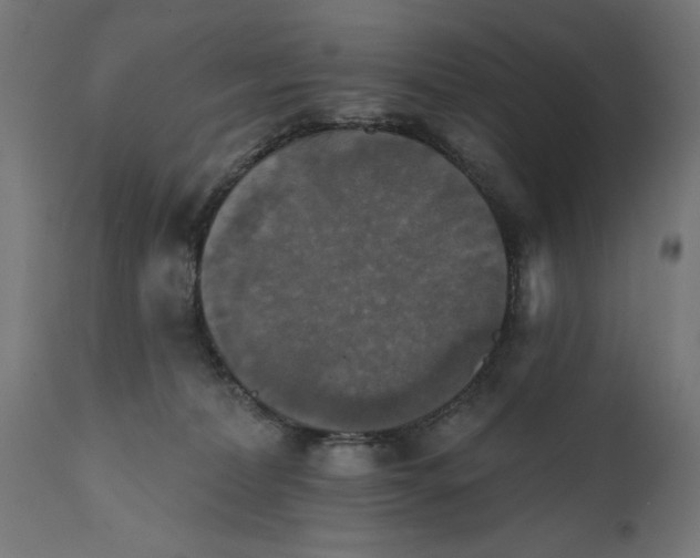 X0000111480228200907281210