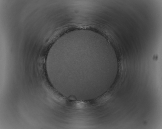 X0000111480229200907281210