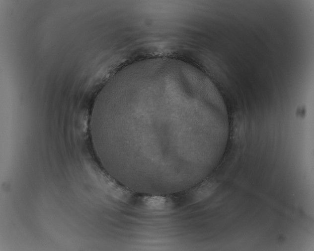 X0000111480230200907281210