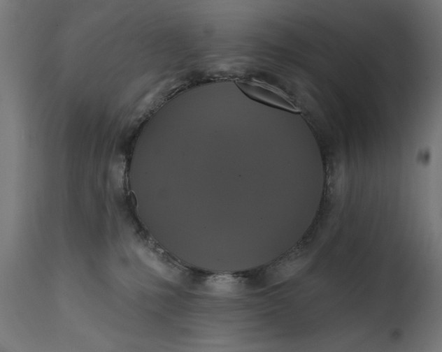 X0000111480231200907281210
