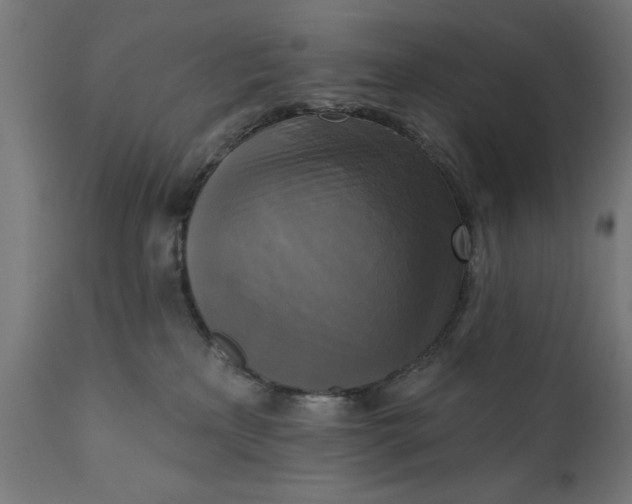 X0000111480233200907281210