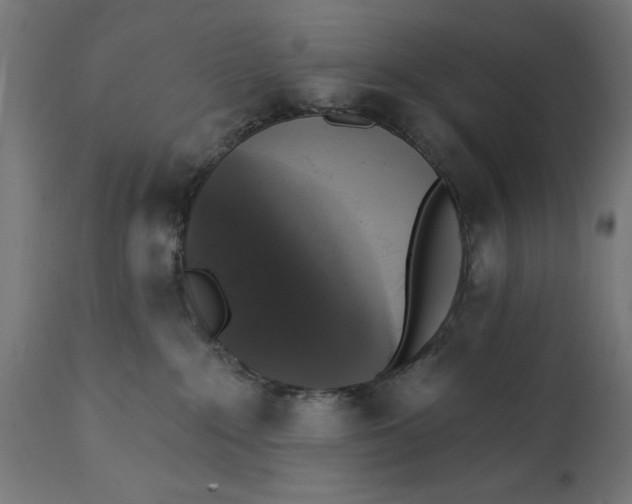 X0000111480235200907281210