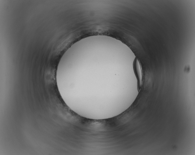X0000111480236200907281210