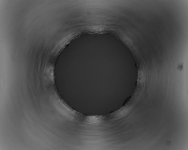 X0000111480238200907281210
