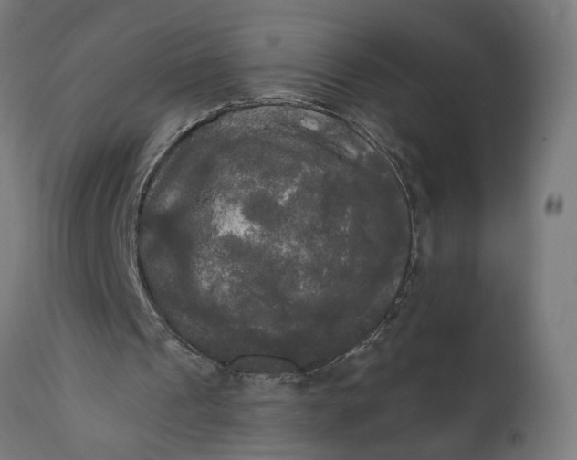X0000111480241200907281209