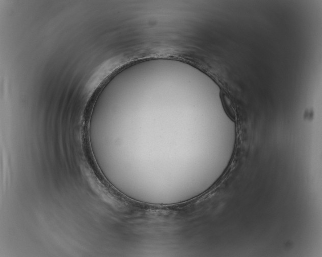 X0000111480242200907281209