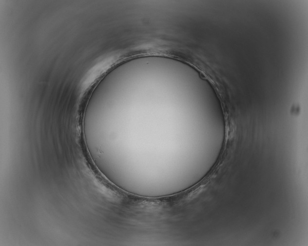 X0000111480245200907281209