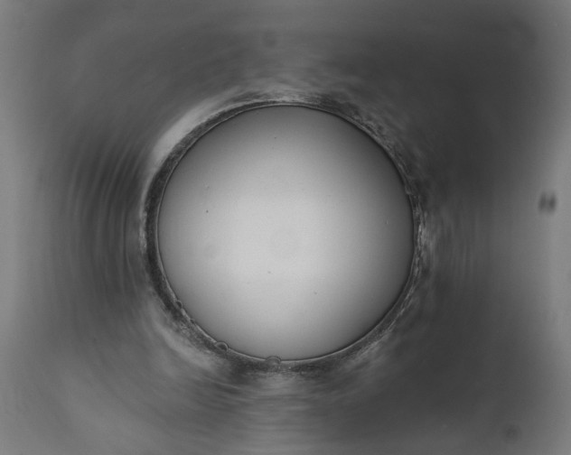 X0000111480246200907281209