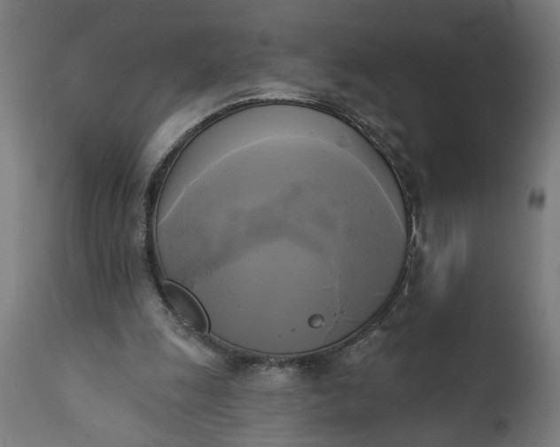 X0000111480247200907281210