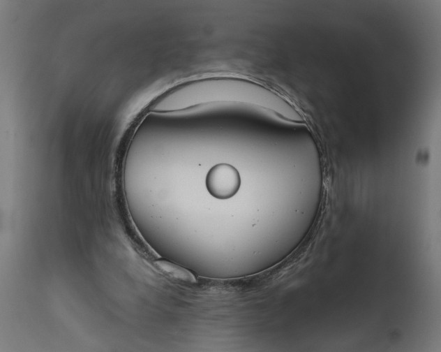 X0000111480248200907281210