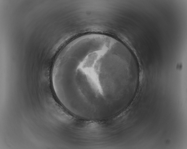 X0000111480249200907281210