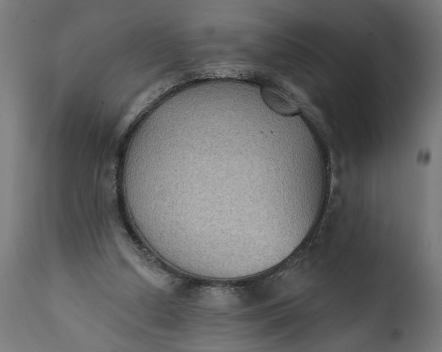 X0000111480250200907281210