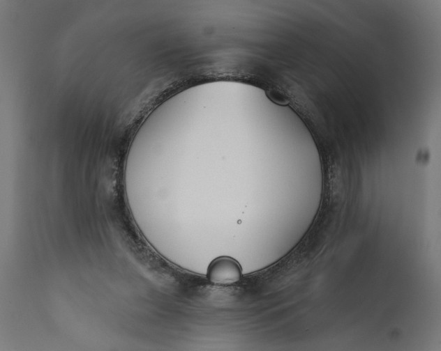 X0000111480255200907281210