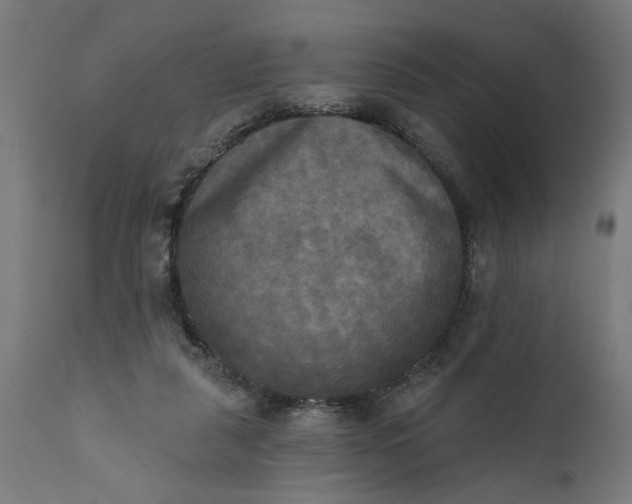 X0000111480259200907281210