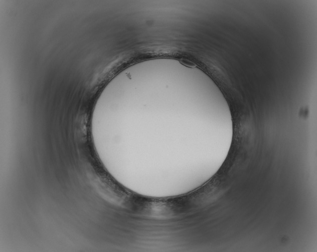 X0000111480264200907281210