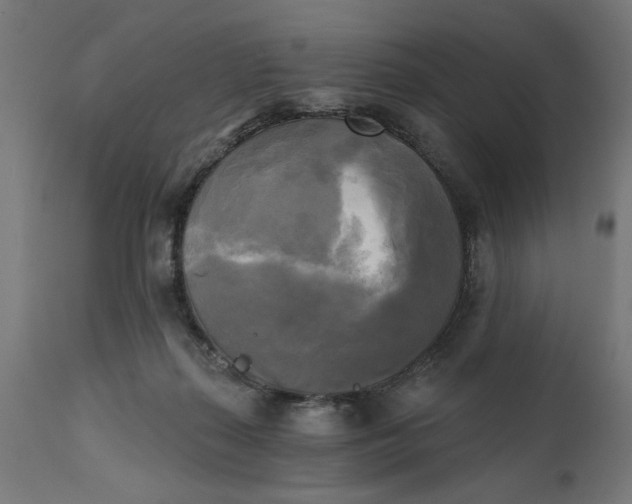 X0000111480267200907281210