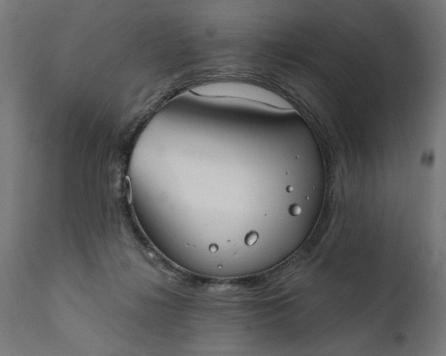 X0000111480268200907281210