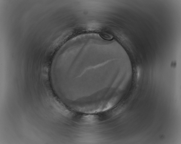 X0000111480269200907281210