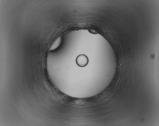 X0000111480272200907281210