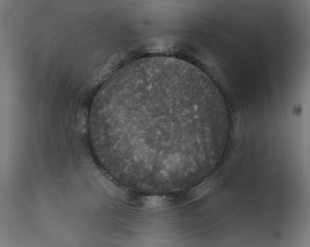 X0000111480273200907281210
