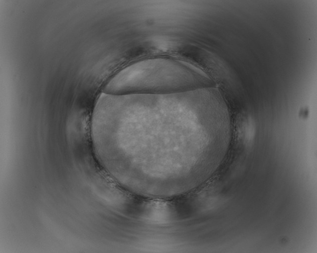 X0000111480276200907281210