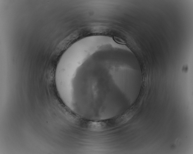 X0000111480277200907281210