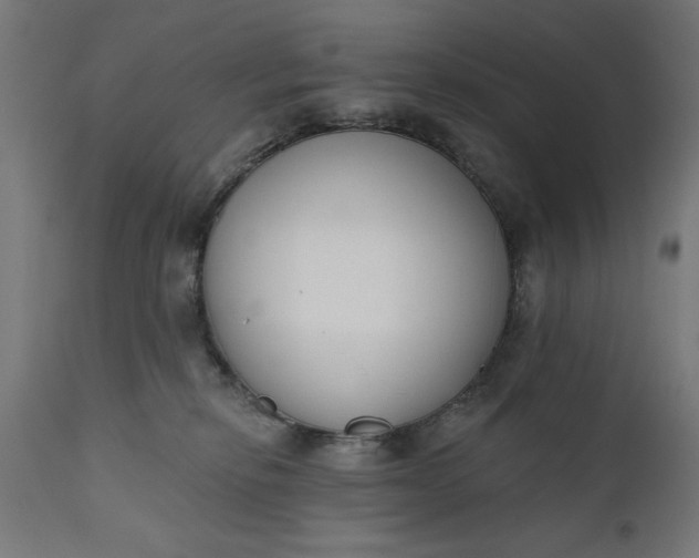 X0000111480278200907281210