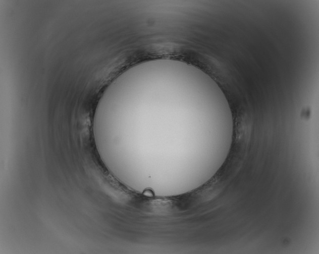 X0000111480279200907281210