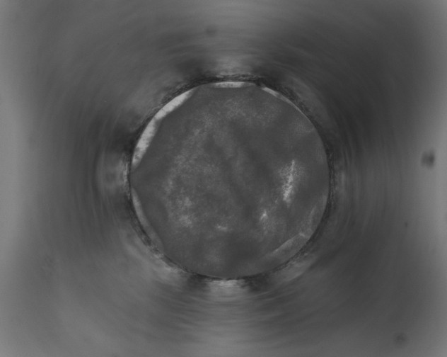 X0000111480281200907281210