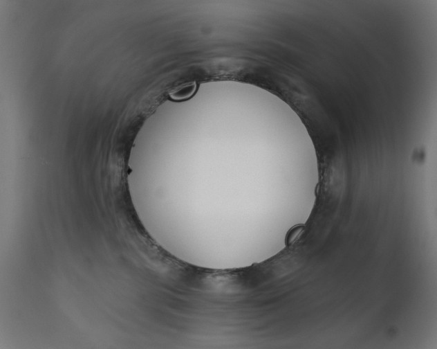 X0000111480283200907281210