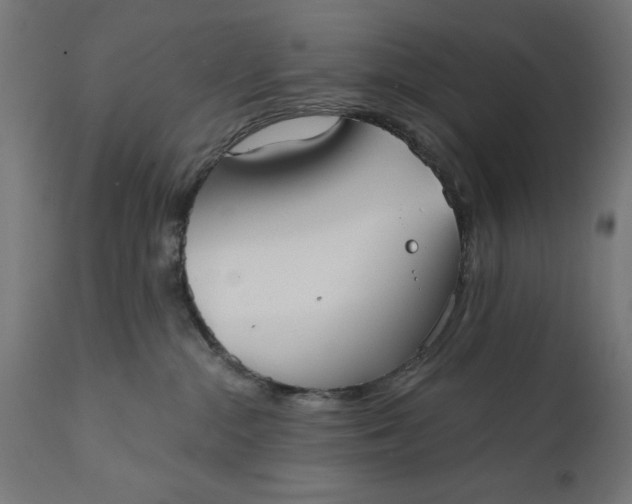 X0000111480284200907281210