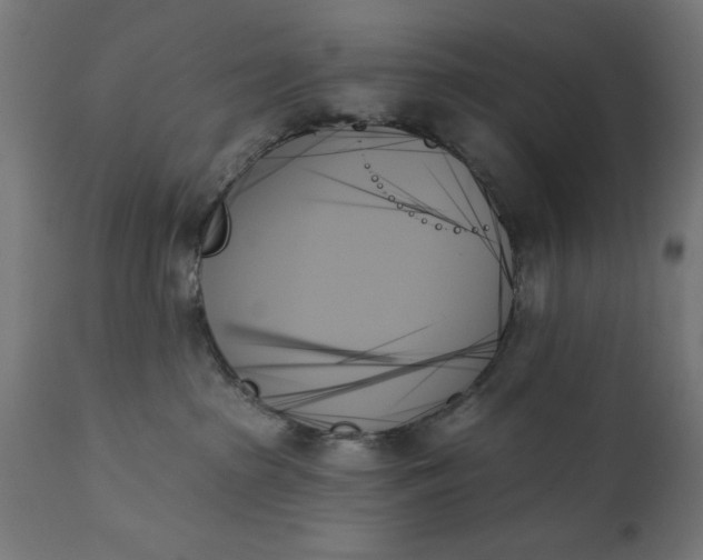 X0000111480285200907281210