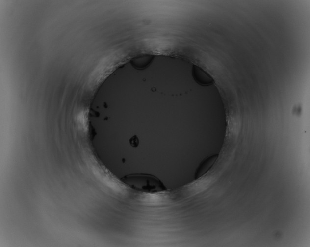 X0000111480286200907281210