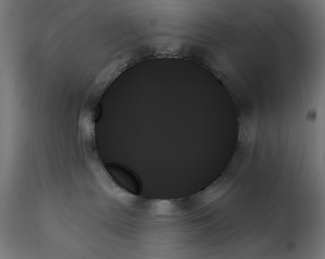 X0000111480287200907281210