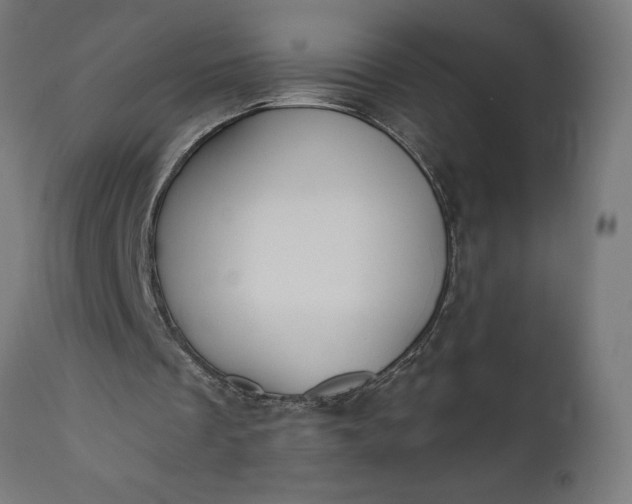 X0000111480289200907281209