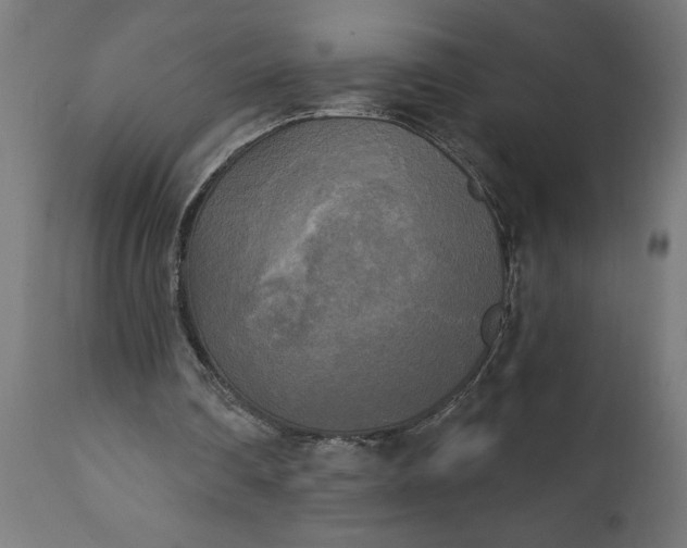 X0000111480290200907281209