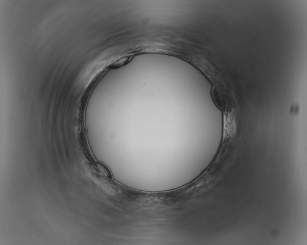 X0000111480291200907281209