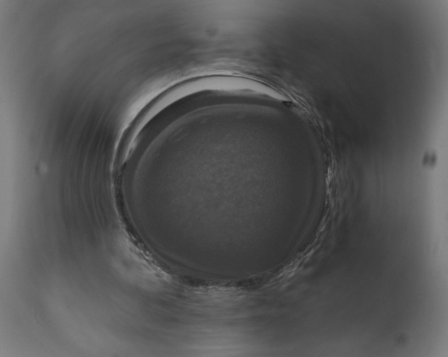 X0000111480292200907281209