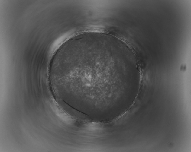 X0000111480293200907281209