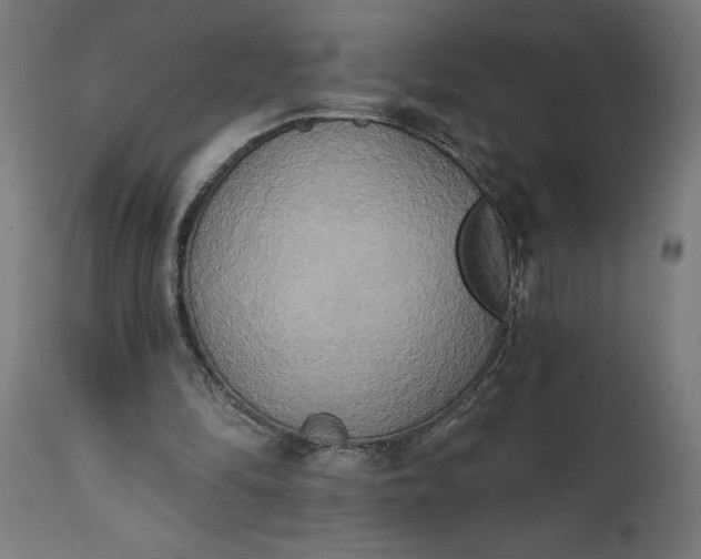 X0000111480294200907281209
