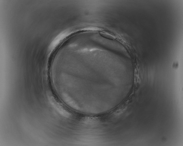 X0000111480296200907281209