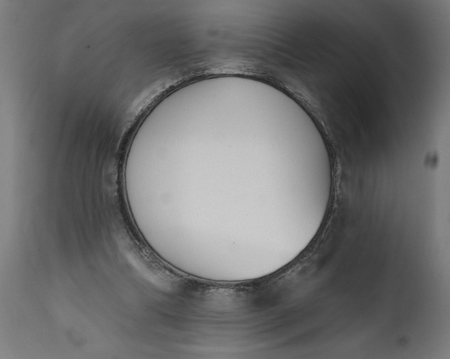 X0000111480298200907281209