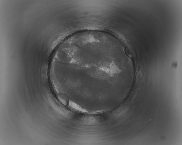 X0000111480299200907281209