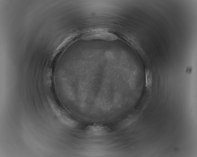 X0000111480300200907281209