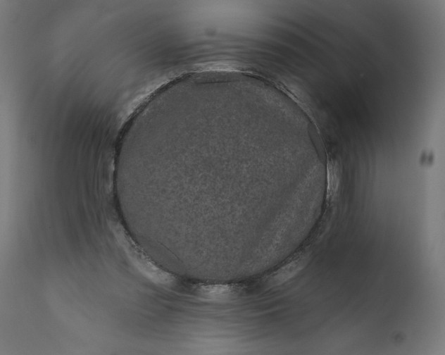 X0000111480301200907281209