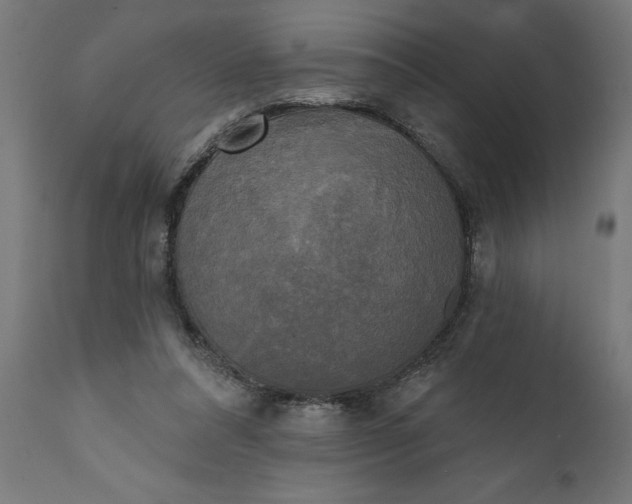 X0000111480304200907281209