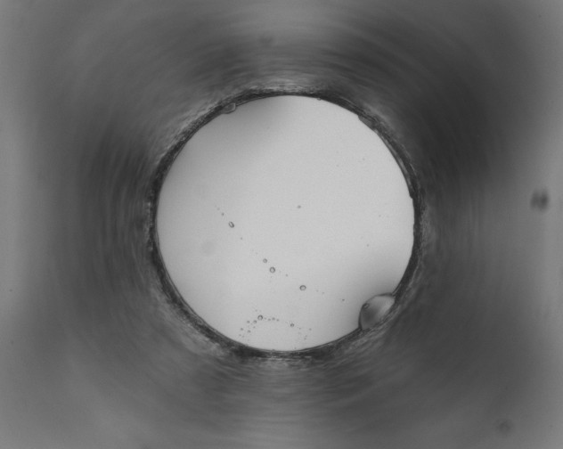 X0000111480305200907281209